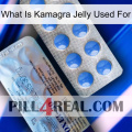 What Is Kamagra Jelly Used For 39